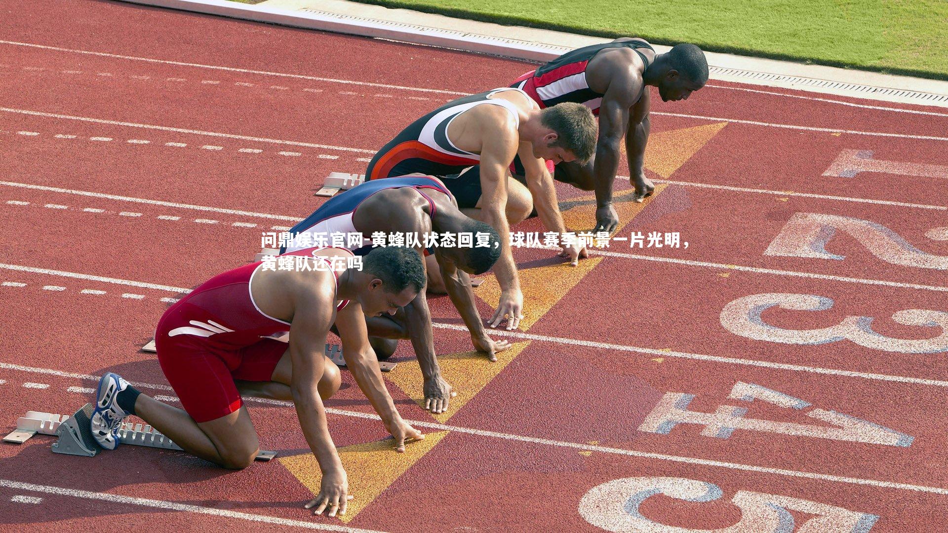 黄蜂队状态回复,球队赛季前景一片光明,黄蜂队还在吗